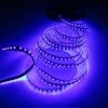 SMD5050 Waterproof UV LED Flexible Strip 60LEDs/m -Lighting Fixtures Shop 5050 uv 3