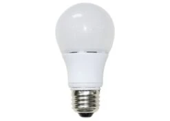 7W E27/B22 LED Bulbs