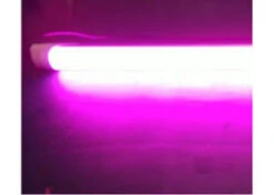 T8 LED Integrated (Batten) Pink ( Butcher ) Tube (2 Ft) 60cm -Lighting Fixtures Shop t8 integrated pink 1 1